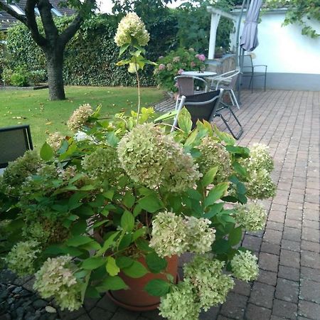 Ferienwohnung Kirschbluete Billigheim-Ingenheim ภายนอก รูปภาพ