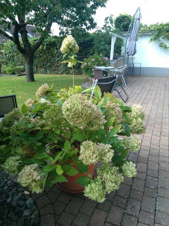 Ferienwohnung Kirschbluete Billigheim-Ingenheim ภายนอก รูปภาพ